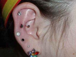 Alle Bilder &raquo; Piercings &raquo; Ohr